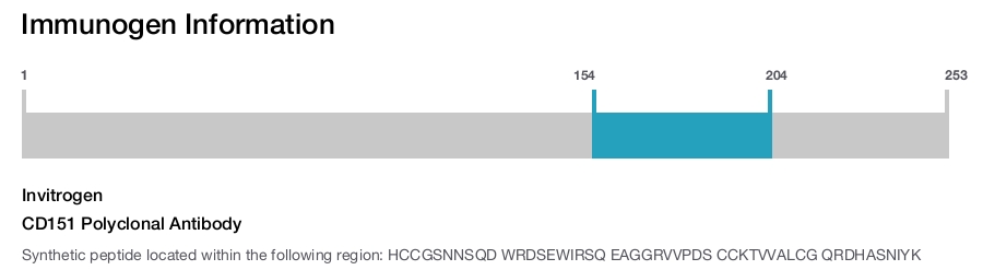 CD151 Polyclonal Antibody