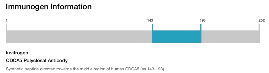CDCA5 Polyclonal Antibody