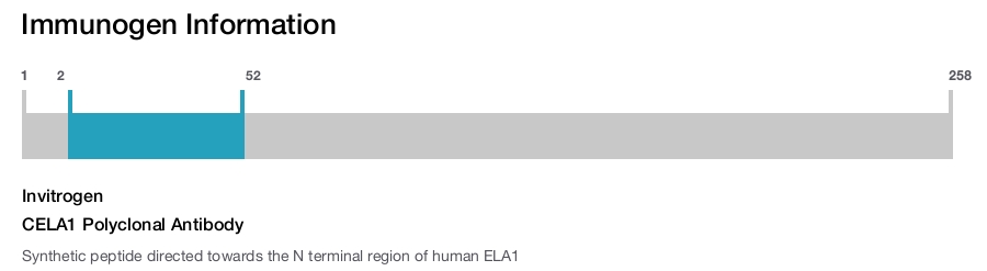 CELA1 Polyclonal Antibody