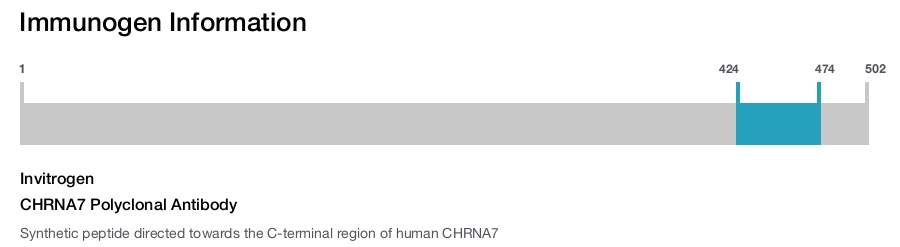 CHRNA7 Polyclonal Antibody