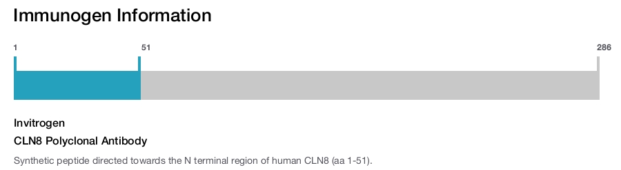 CLN8 Polyclonal Antibody