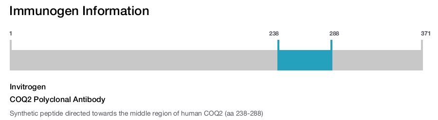 COQ2 Polyclonal Antibody