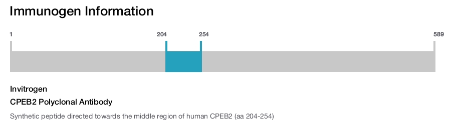 CPEB2 Polyclonal Antibody