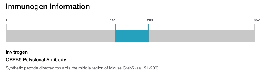 CREB5 Polyclonal Antibody