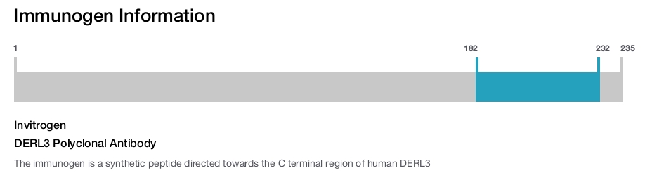 DERL3 Polyclonal Antibody
