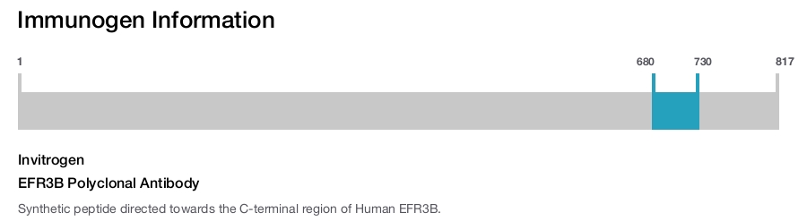 EFR3B Polyclonal Antibody