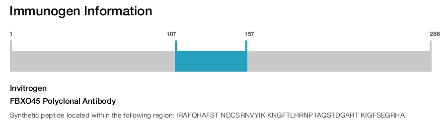 FBXO45 Polyclonal Antibody
