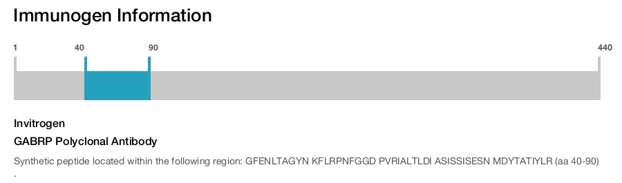 GABRP Polyclonal Antibody