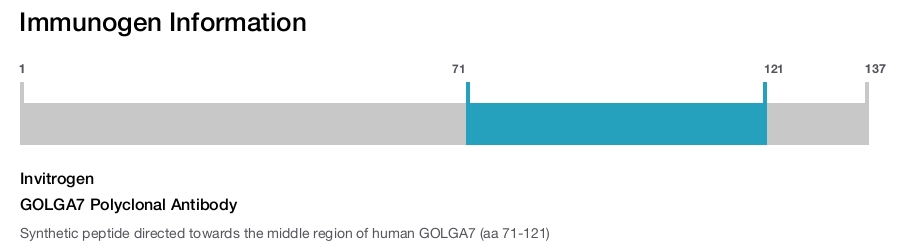 GOLGA7 Polyclonal Antibody