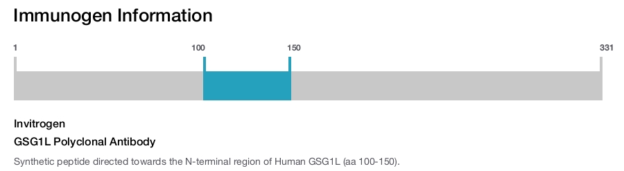 GSG1L Polyclonal Antibody