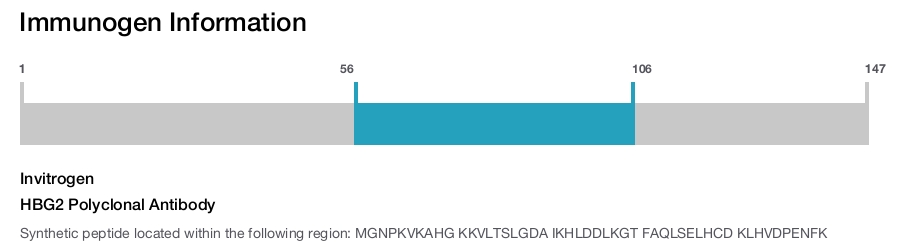 HBG2 Polyclonal Antibody