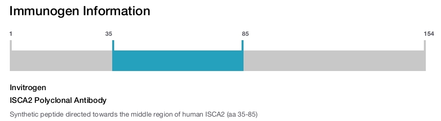 ISCA2 Polyclonal Antibody