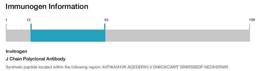 J Chain Polyclonal Antibody