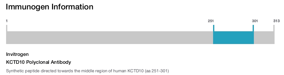KCTD10 Polyclonal Antibody