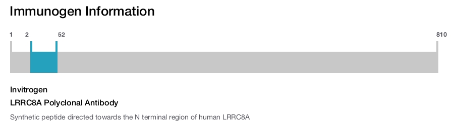 LRRC8A Polyclonal Antibody