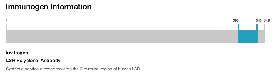LSR Polyclonal Antibody