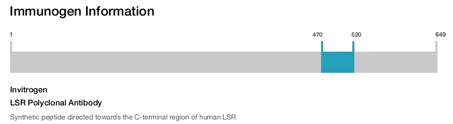 LSR Polyclonal Antibody