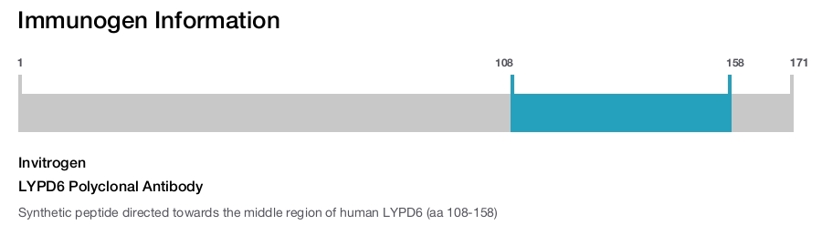 LYPD6 Polyclonal Antibody