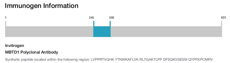 MBTD1 Polyclonal Antibody