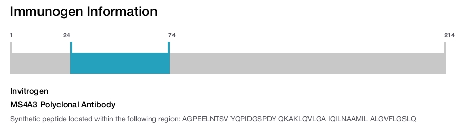 MS4A3 Polyclonal Antibody