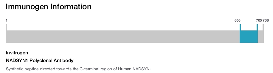 NADSYN1 Polyclonal Antibody