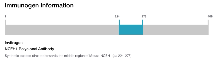 NCEH1 Polyclonal Antibody