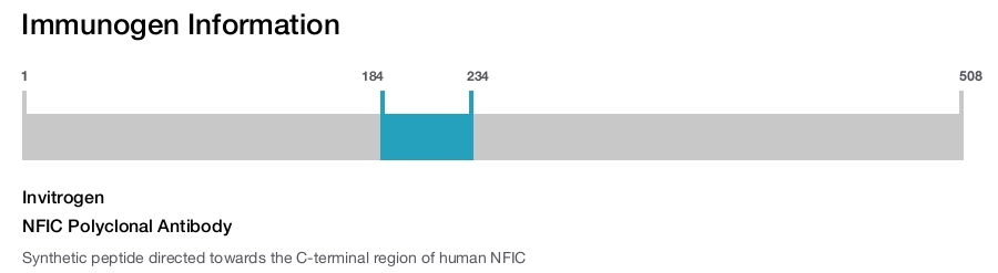 NFIC Polyclonal Antibody