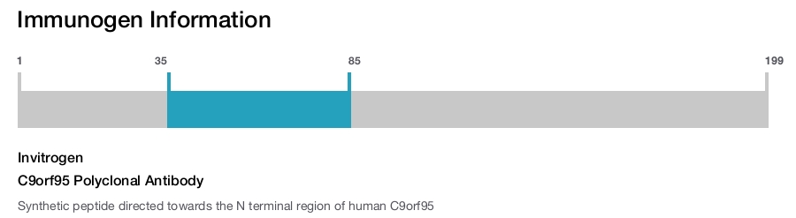 C9orf95 Polyclonal Antibody