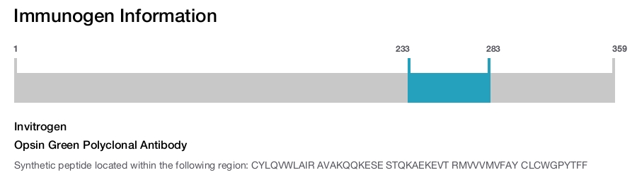 Opsin Green Polyclonal Antibody