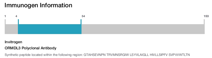 ORMDL3 Polyclonal Antibody