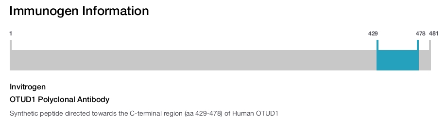 OTUD1 Polyclonal Antibody