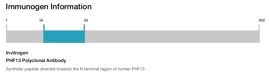 PHF13 Polyclonal Antibody