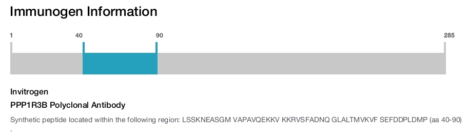 PPP1R3B Polyclonal Antibody