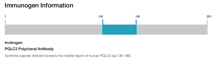 PQLC2 Polyclonal Antibody