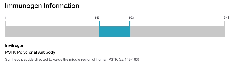 PSTK Polyclonal Antibody