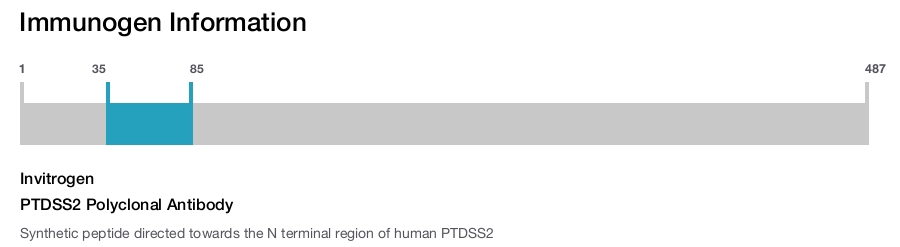 PTDSS2 Polyclonal Antibody