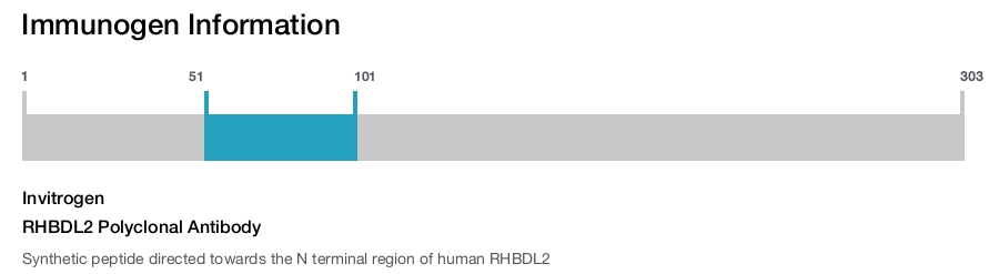 RHBDL2 Polyclonal Antibody