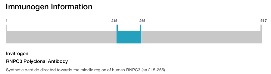 RNPC3 Polyclonal Antibody