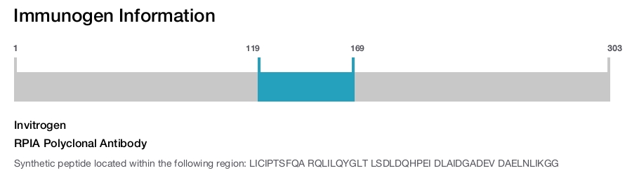 RPIA Polyclonal Antibody