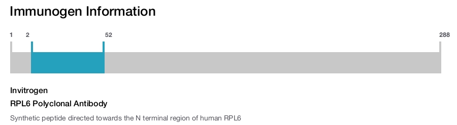 RPL6 Polyclonal Antibody