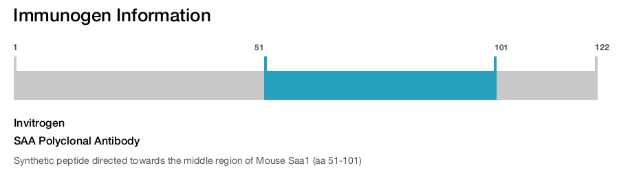 SAA Polyclonal Antibody