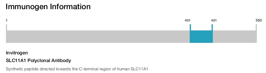 SLC11A1 Polyclonal Antibody