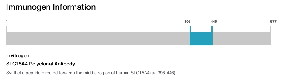 SLC15A4 Polyclonal Antibody