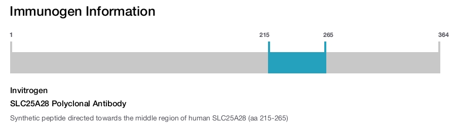 SLC25A28 Polyclonal Antibody