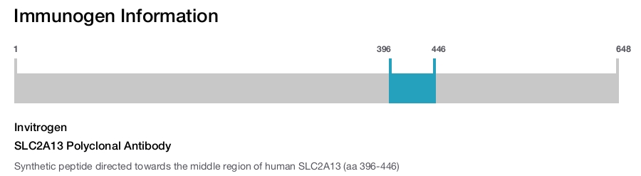 SLC2A13 Polyclonal Antibody