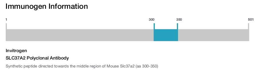 SLC37A2 Polyclonal Antibody