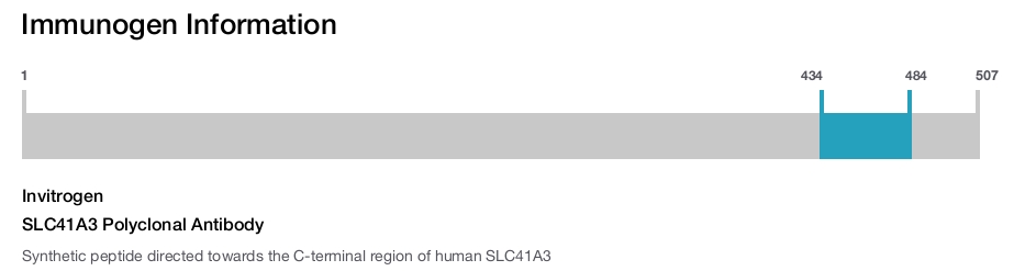 SLC41A3 Polyclonal Antibody
