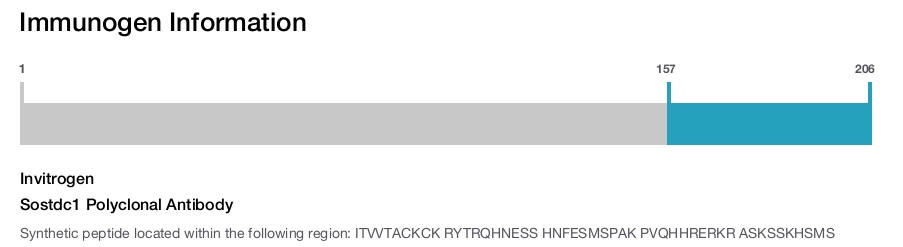 Sostdc1 Polyclonal Antibody