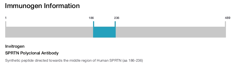 SPRTN Polyclonal Antibody