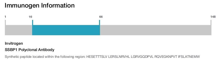 SSBP1 Polyclonal Antibody